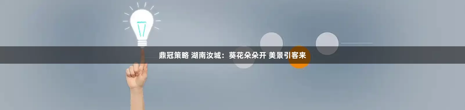 鼎冠策略 湖南汝城：葵花朵朵开 美景引客来