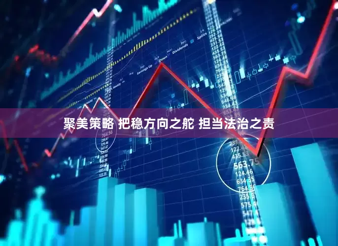 聚美策略 把稳方向之舵 担当法治之责