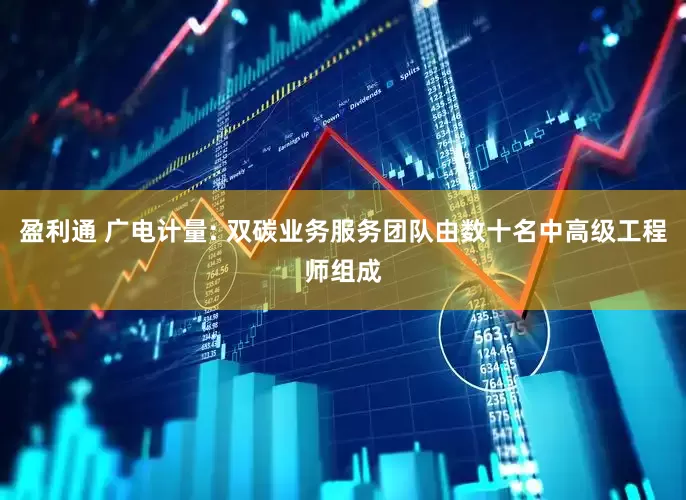 盈利通 广电计量: 双碳业务服务团队由数十名中高级工程师组成