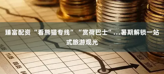 臻富配资 “看熊猫专线” “赏荷巴士”…暑期解锁一站式旅游观光