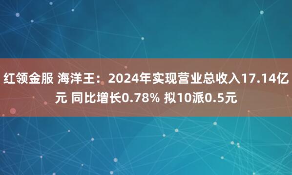 红领金服 海洋王：2024年实现营业总收入17.14亿元 同比增长0.78% 拟10派0.5元